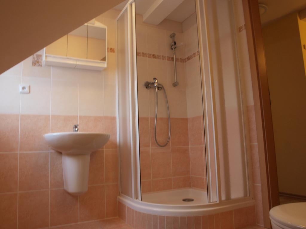 Apartments Viktoria Klinovec Kovářská Eksteriør billede