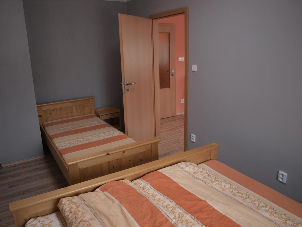 Apartments Viktoria Klinovec Kovářská Eksteriør billede